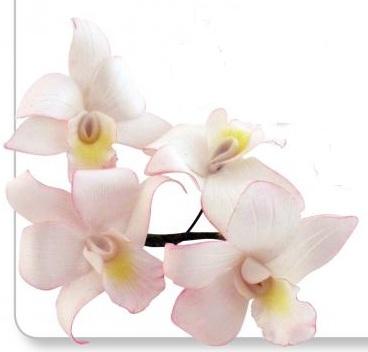 JEM singapore orkidée -utstickare