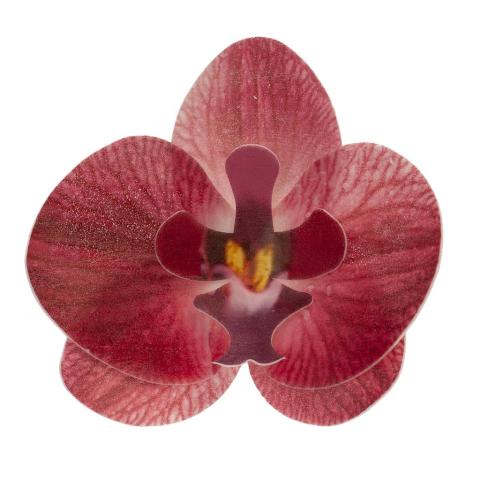 Ätbar dekoration, vinröd orkidè 10st