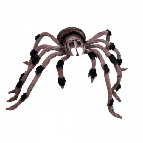 Hårig stor spindel 125cm