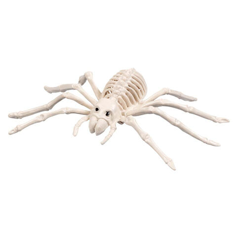Spindelskelett tarantella