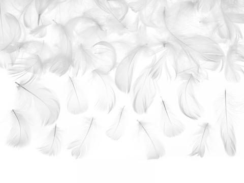 Dekoration fjädrar, vita